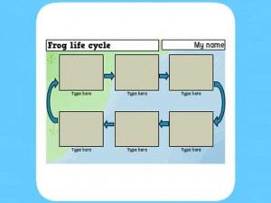 Life Cycle of a frog worksheet 6