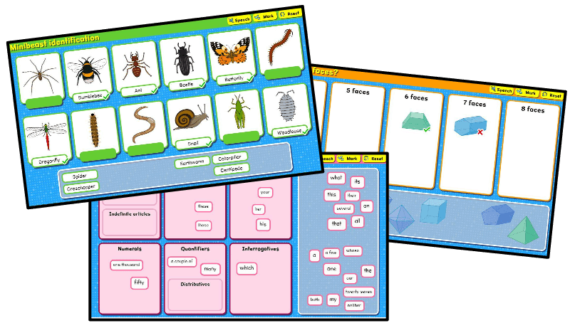 Interactive worksheets