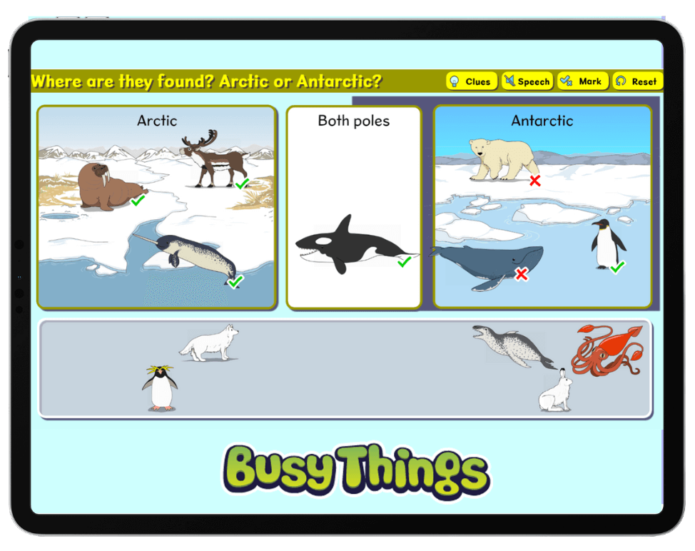 penguin activities: arctic vs antarctic