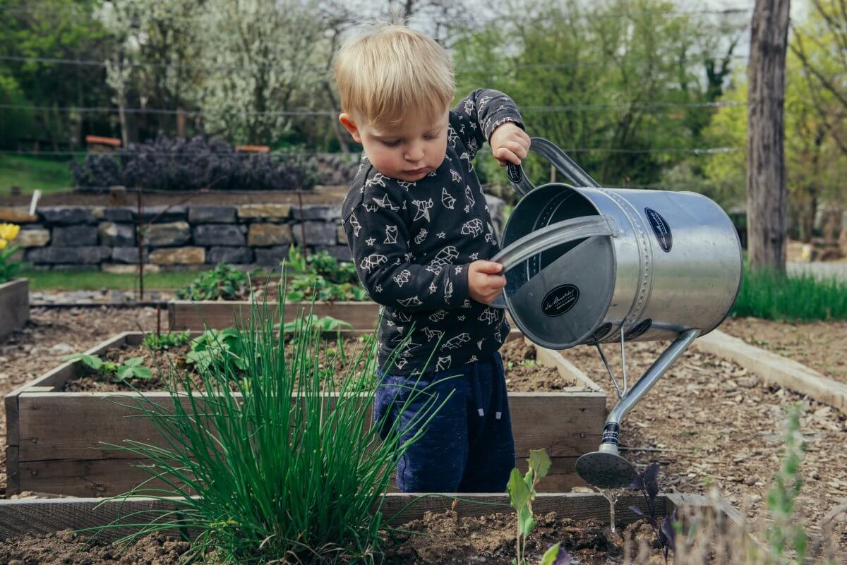 plant seeds this spring