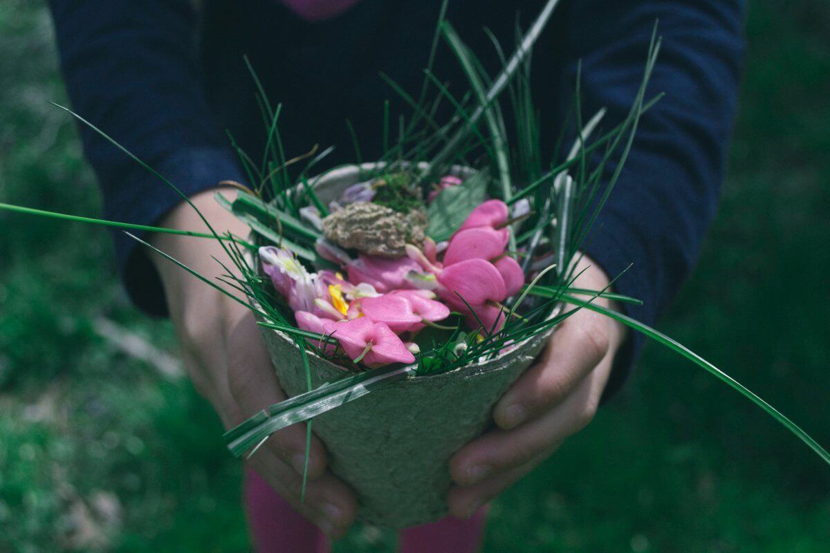 Great spring activity: press flowers