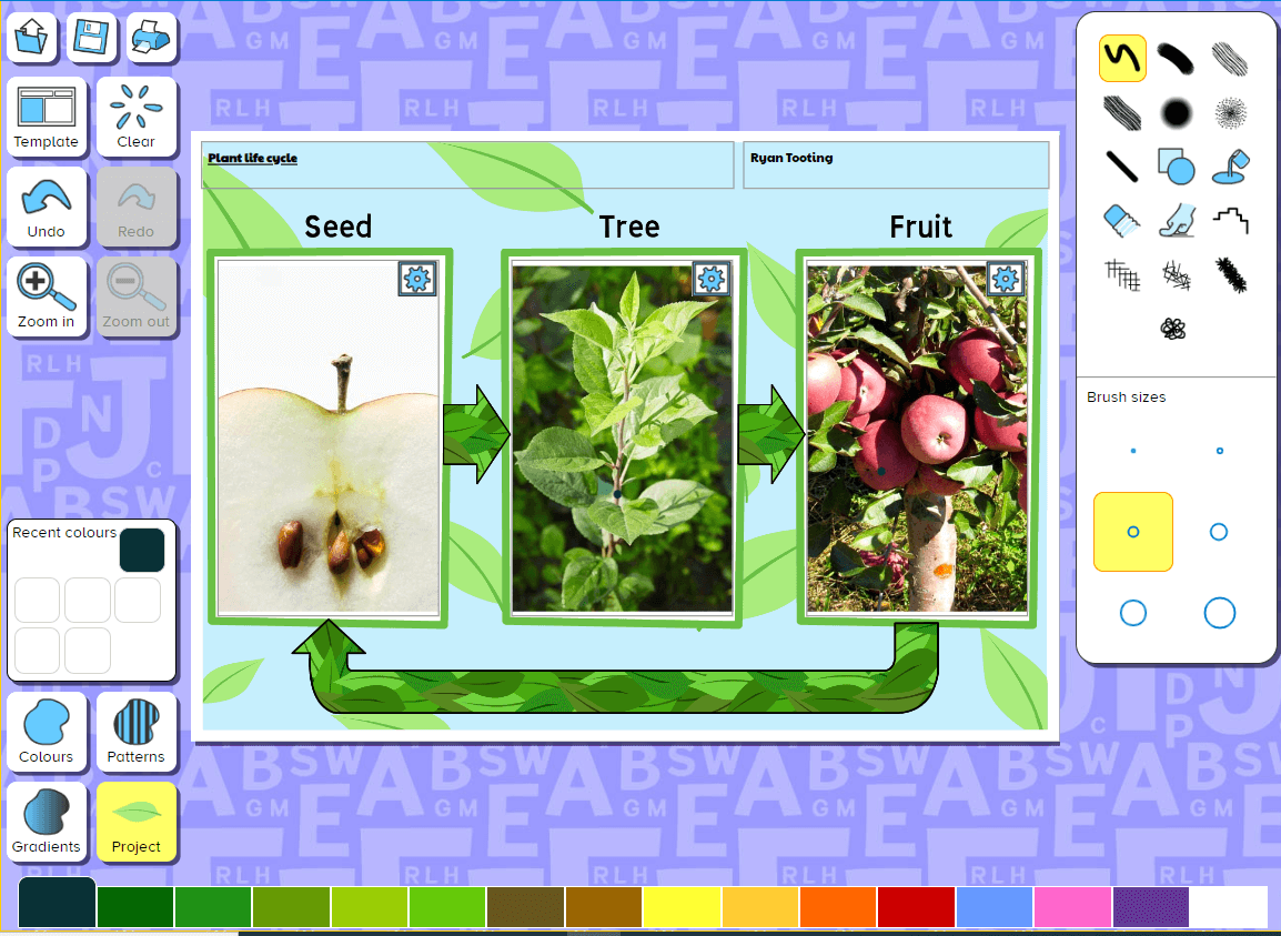 Plant life cycle