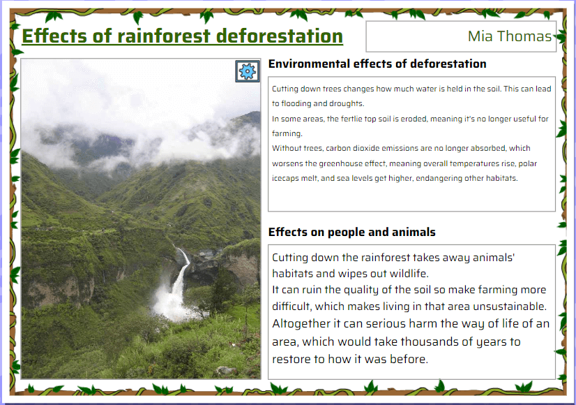 Rainforest writing project screenshot