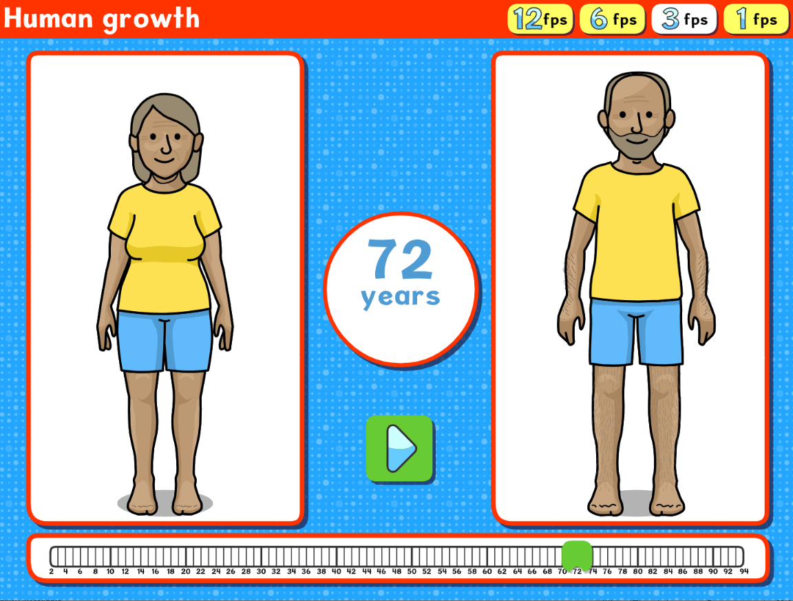 Human growth widget screenshot