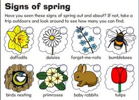 Screenshot of our Signs of spring pdf
